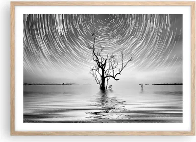 Produktbild von Gerahmtes Poster - Rahmen in heller Eiche - Schwarzweiß Baum See - 70x50 cm - Wand Bild - Wanddeko - Wandbilder - Wandposter - Bilderrahmen - Bilder - Kunstdruck - Wandbild - P2NAA70x50-4253