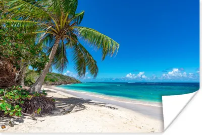 Produktbild von MuchoWow® Poster Strand - Meer - Tropisch 180x120 cm - Fotoplakat