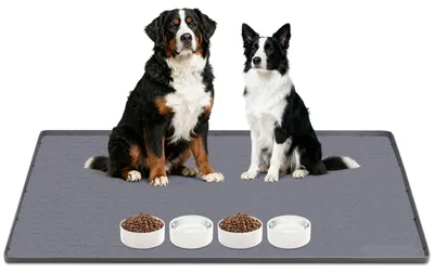 Productafbeelding van Grote Silicone Eetmat voor Honden