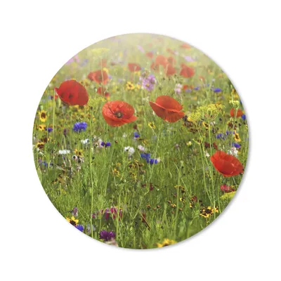 Produktbild von MuchoWow® Mauspad Mousepad Frühling - Blumen - Rot - Mohn - Gras - Grün 40x40 cm - Mousepads - Maus Mat - Pad - Mausunterlage - Schreibtisch Accessoires