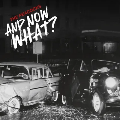 Obrázek produktu pro The Peacocks: And Now What?