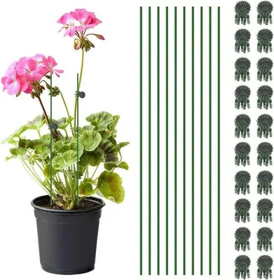 Immagine prodotto di Supporti flessibili per piante verde scuro, 10 pezzi