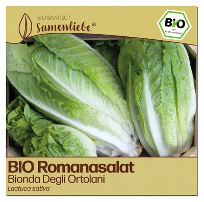 Produktbild von Samenliebe  Salat Samen | Bionda Degli Ortolani - samenfestes  Saatgut
