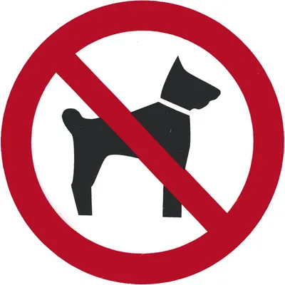 Produktbild von Hinweis- /Verbotsschilder Keine Hunde / 10 cm