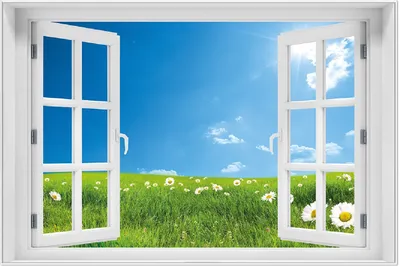 Produktbild von Wallario Wandbild mit Fenster-Illusion: Sommerwiese - Weiße Gänseblümchen vor blauem Himmel, Größe: 61 x 91,5 cm, Poster mit weißem Aluminiumrahmen