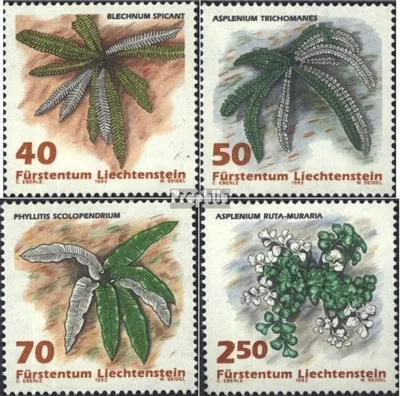 Produktbild von Briefmarken Liechtenstein 1992 Mi 1045-1048 (kompl.Ausg.) postfrisch Farne