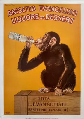 Immagine prodotto di Anisetta Evangelisti - Liquore da Dessert - 50x70cm Affiche Poster