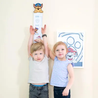 Image de Toise roba pour enfants Paw Patrol - Échelle de 70 cm à 150 cm pour filles et garçons - Toise pour chambre d'enfant - Bois blanc / bleu