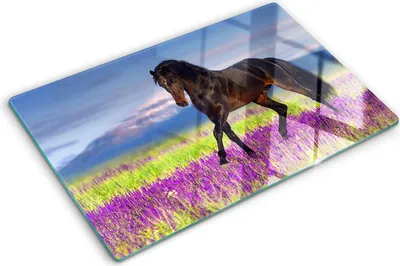 Produktbild von Tulup Glas Herdabdeckplatte - 80x52 cm - Glaskeramikkochfeld-Abdeckung Spritzschutz Glasabdeckplatte - Einteilig - Tiere - Pferd Lavendelfeld - Braun