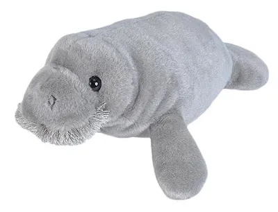 A plush toy manatee on a white background.