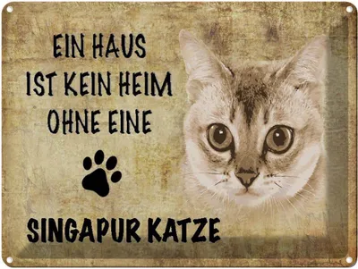 Produktbild von vianmo Blechschild 30x40 cm Singapur Katze ohne kein Heim