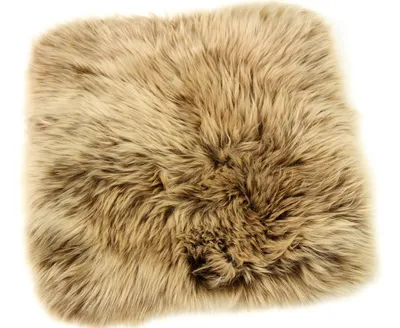 Produktbild von Sitzauflage, Dekokissen, Sitzkissen Stuhlauflage, echt Lammfell braun beige, quadratisch