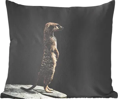 Produktbild von MuchoWow® Zierkissen Sofakissen Wohnzimmer Dekokissen 60x60 cm Erdmännchen - Wilde Tiere - Schwarz - Sitzfläche - Foto Polster