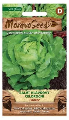 Obrázek produktu pro Salát hlávkový celoroční PANTER 66326