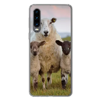 Produktbild von MuchoWow® Handyhülle Schutzhülle Hülle für Huawei P30 Schafe - Natur - Schwarz - Weiß Silikon Softcase Handy Hülle - Kartenbesitzer