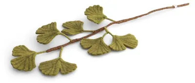 Produktbild von Dekorationszweig aus Filz Ginkgo biloba 70 cm mit fächerförmigen Blättern