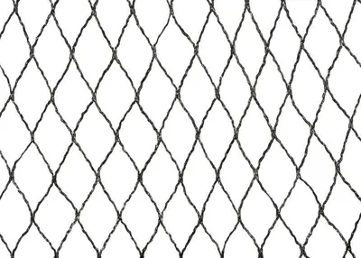 Immagine prodotto di Rete Strend Pro, 8x8 m, maglia 25 mm, anti-uccelli, PE
