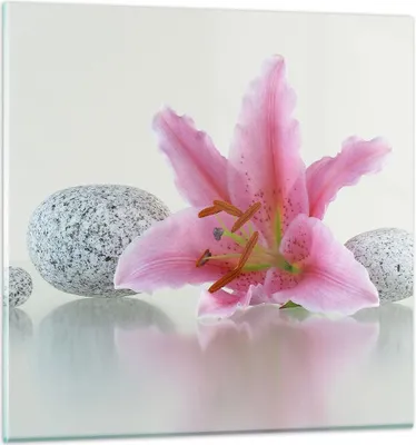 Produktbild von Bilder auf glas - Lilienblüte grün Pflanze - 30x30cm - Glasbilder - Wandbilder - Kunstdruck - zum Aufhängen bereit - Wanddekoration aus Glas - Glas Bilder - Wandbild auf Glas - GAC30x30-0485