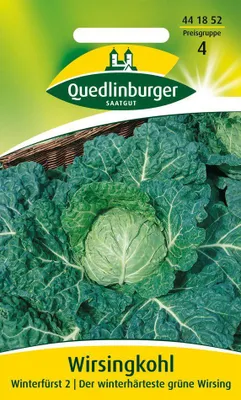 Produktbild von Wirsingkohl Winterfürst 2 | Wirsingsamen von Quedlinburger