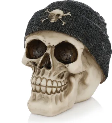 Produktbild von FunX Totenkopf Spardose Sparschwein - Lustige Schädel Sparbüchse mit Fischermütze - 15 x 12 x 10 cm