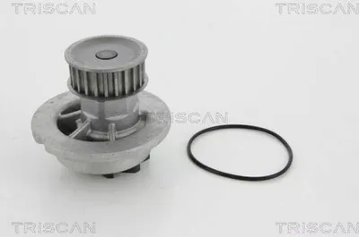Produktbild von TRISCAN Wasserpumpe 8600 21006