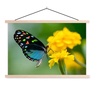 Produktbild von MuchoWow® Textilposter Schmetterling - Blume - Tier - Insekt 120x80 cm mit holzfarbenen Rahmen - Aufhängeset