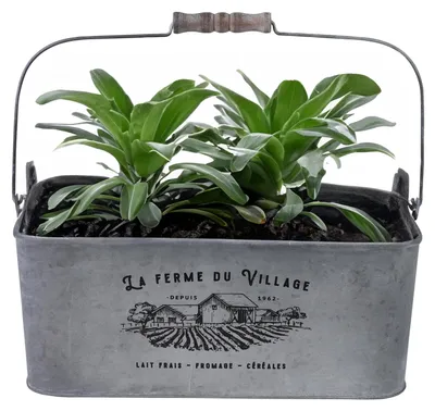 Produktbild von Sunnydays Teil/Pflanztopf - Zink - silber - 37 x D24 x 14 cm