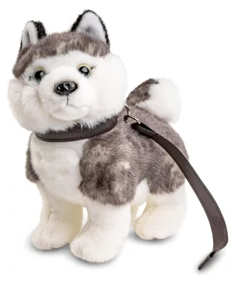 Produktbild von Uni-Toys - Husky Welpe grau, stehend (mit Leine) - 21 cm (Länge) - Plüsch-Hund - Plüschtier, Kuscheltier