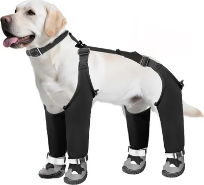 Produktbild von INF Wasserdichte Hundeschuhe mit Riemen: Rutschfeste und Warme Stiefel für Hunde L