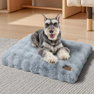 Immagine prodotto di WISFOR Lettino per cani lavabile con fondo antiscivolo, morbido cuscino e tappetino per cani, divanetto impermeabile con rivestimento sfoderabile – M: 76x51x10 cm, grigio