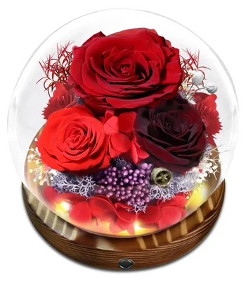 Produktbild von Konservierte Rose in Grüner Geschenkbox