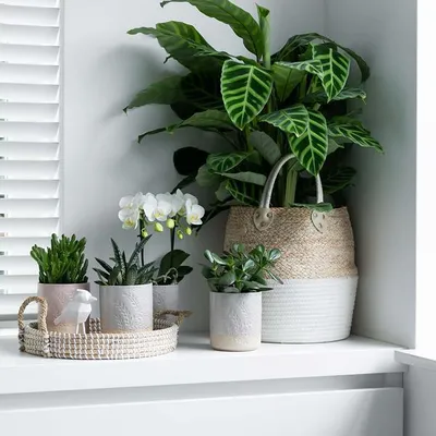 Immagine prodotto di Vassoio intrecciato bianco Ø30cm - Vassoio decorativo intrecciato a mano