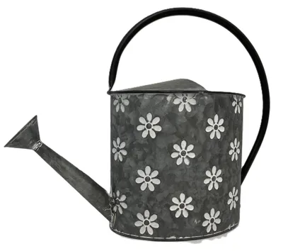 Produktbild von Dekorative Gießkanne aus Zink, grau, 36x17x48 cm, für Innen- & Außenbereich