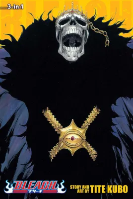 Produktbild von Bleach (3-in-1 Edition), Vol. 15