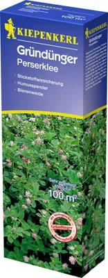Produktbild von Kiepenkerl Perserklee 0,4 kg 100 m²