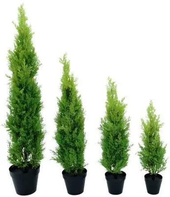 Zdjęcie produktu dla EUROPALMS Cyprys, Leyland, sztuczna roślina, 90 cm (82606962)