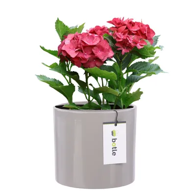 Produktbild von Blumentopf Blumenübertopf Gehäuse Farbe Hellgrau Rund Ø 13,5cm H 12,5cm Glanz Oberfläche Modern Glamour