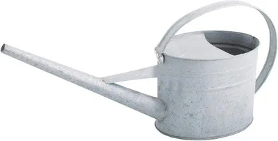 Image de Arrosoir pour plantes d'intérieur 15 L 42 x 11 x 19 cm