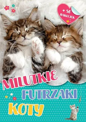 Immagine prodotto di Książeczka Milutkie futrzaki Koty