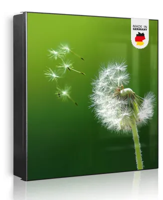 Produktbild von banjado Schlüsselkasten aus Metall, 30x30cm groß mit 32 Haken, als Magnettafel nutzbar, Korpus schwarz, Anschlag rechts, Pusteblume [SKG1 10074]