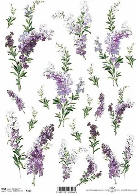 Immagine prodotto di ITD carta di riso decoupage tecnica tovagliolo di carta morbida, lavanda R0103