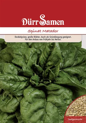Produktbild von Dürr-Samen - Gründüngung Spinat Matador 1 kg - Saatgut - 4103