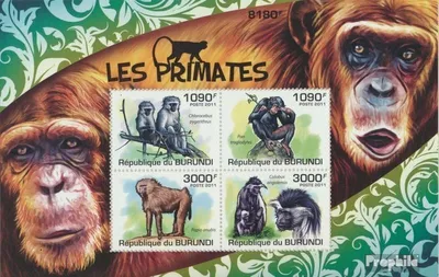 Produktbild von Briefmarken Burundi 2011 Mi Block 164 (kompl. Ausgabe) postfrisch Primaten