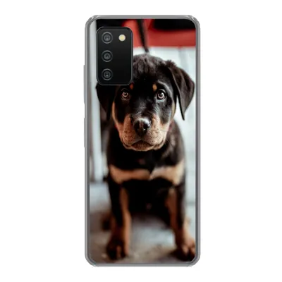 Produktbild von MuchoWow® Handyhülle Schutzhülle Hülle für Samsung Galaxy A03s Jung - Hund - Kamera Silikon Softcase Handy Hülle - Schutz