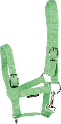 Immagine prodotto di Harry's Horse Foal Halter Verde Verde Taglia unica