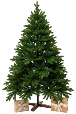 Immagine prodotto di Albero di Natale NORDMANN 150 in polietilene verde 112x150 cm