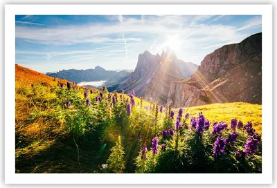 Produktbild von Poster - Poster ohne Rahmen - Berge Wiese Blumen - 91,5x61 cm - Wand Bild - Wanddeko - Wandbilder - Kunstposter - Wandposter - Bilder - Kunstdruck - Wanddekoration - Wandbild - P2XAA91x61-4008