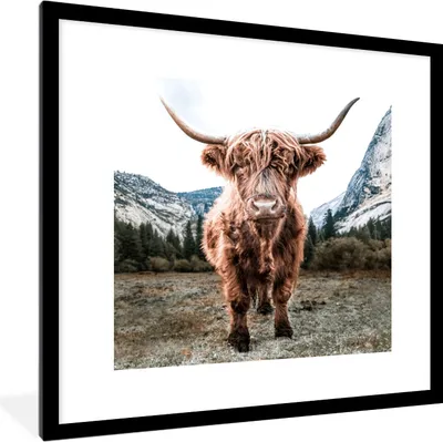 Produktbild von MuchoWow® Gerahmtes Poster Schottischer Highlander - Berg - Tiere 40x40 cm - Poster mit Schwarzem Bilderrahmen Wandposter Rahmen Foto Bilder - Poster - Plakat im Rahmen