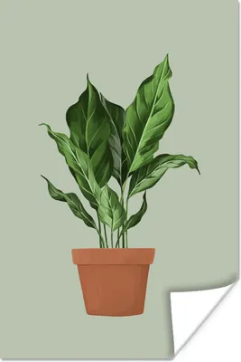 Produktbild von MuchoWow® Poster Pflanzen - Blumentopf - Grün 80x120 cm - Papierdruck