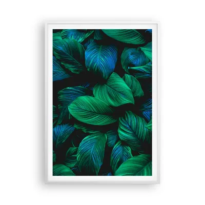 Produktbild von Gerahmtes Poster - Weißer Rahmen - Blätter Pflanzen Exotik - 70x100 cm - Wand Bild - Wanddeko - Wandbilder - Kunstposter - Wandposter - Bilderrahmen - Bilder - Kunstdruck - P2WPA70x100-5066